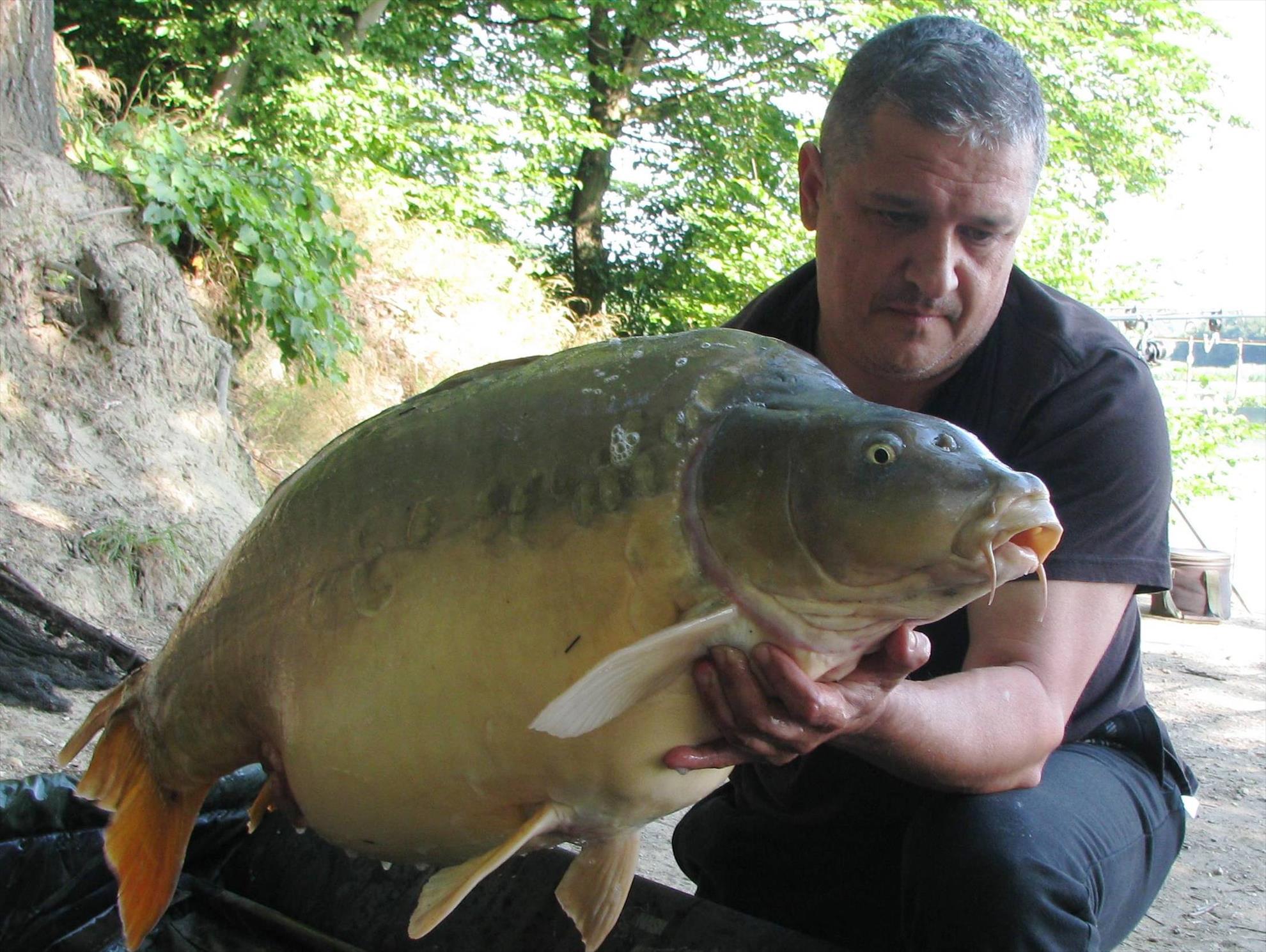 Harsany 22 - 27 iunie 2014 - img1362.JPG